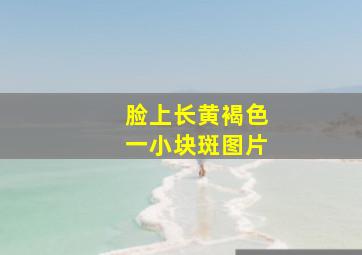 脸上长黄褐色一小块斑图片