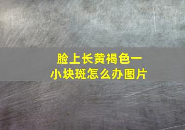 脸上长黄褐色一小块斑怎么办图片