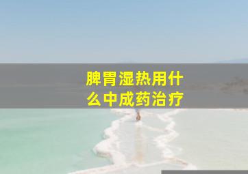 脾胃湿热用什么中成药治疗