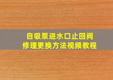 自吸泵进水口止回阀修理更换方法视频教程