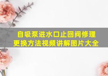 自吸泵进水口止回阀修理更换方法视频讲解图片大全