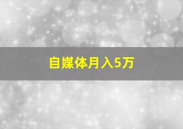 自媒体月入5万