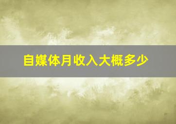 自媒体月收入大概多少