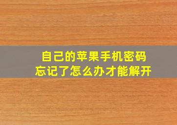 自己的苹果手机密码忘记了怎么办才能解开