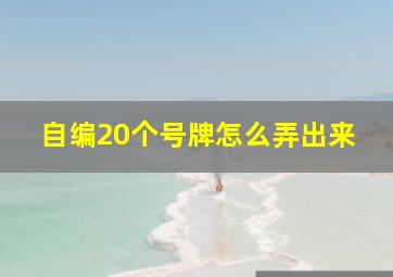 自编20个号牌怎么弄出来