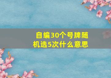 自编30个号牌随机选5次什么意思