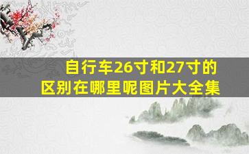 自行车26寸和27寸的区别在哪里呢图片大全集