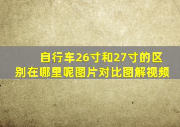 自行车26寸和27寸的区别在哪里呢图片对比图解视频