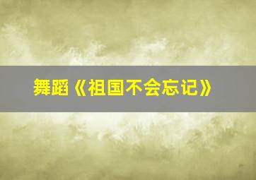 舞蹈《祖国不会忘记》