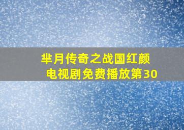 芈月传奇之战国红颜 电视剧免费播放第30