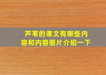 芦苇的课文有哪些内容和内容图片介绍一下