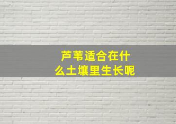 芦苇适合在什么土壤里生长呢