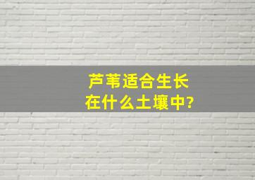 芦苇适合生长在什么土壤中?