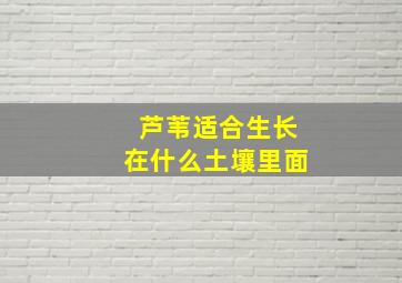 芦苇适合生长在什么土壤里面