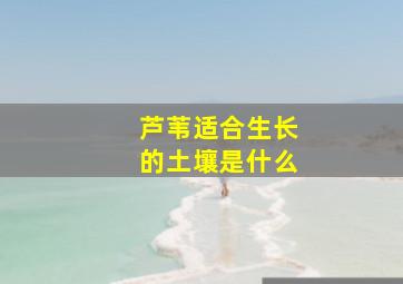 芦苇适合生长的土壤是什么