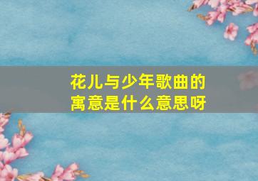 花儿与少年歌曲的寓意是什么意思呀