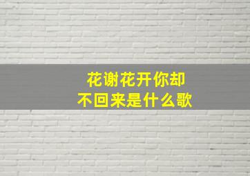 花谢花开你却不回来是什么歌