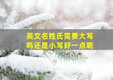 英文名姓氏需要大写吗还是小写好一点呢