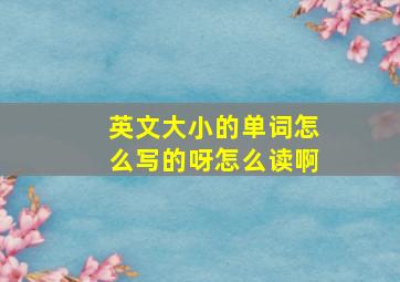 英文大小的单词怎么写的呀怎么读啊