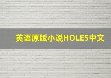 英语原版小说HOLES中文