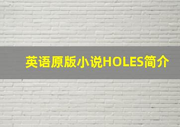 英语原版小说HOLES简介