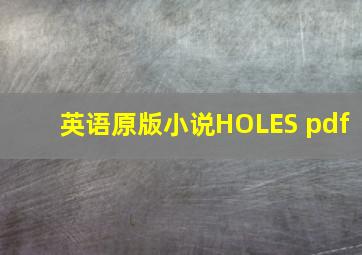 英语原版小说HOLES pdf