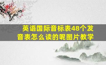 英语国际音标表48个发音表怎么读的呢图片教学