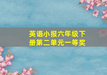 英语小报六年级下册第二单元一等奖