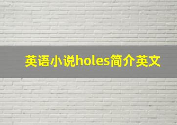 英语小说holes简介英文