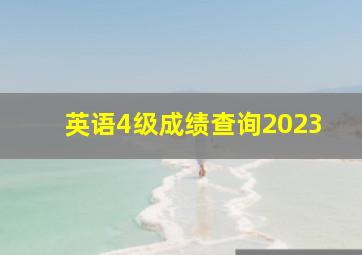 英语4级成绩查询2023