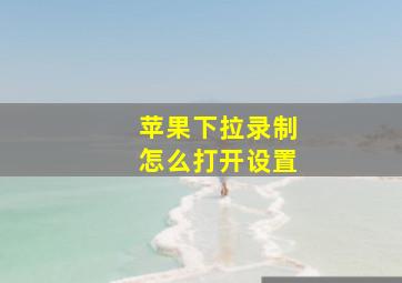 苹果下拉录制怎么打开设置