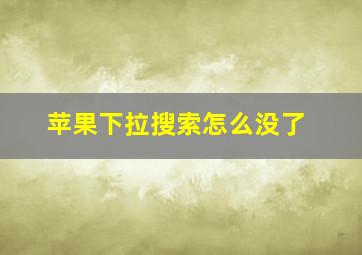 苹果下拉搜索怎么没了