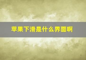 苹果下滑是什么界面啊