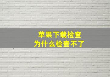 苹果下载检查为什么检查不了