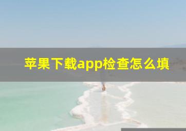 苹果下载app检查怎么填