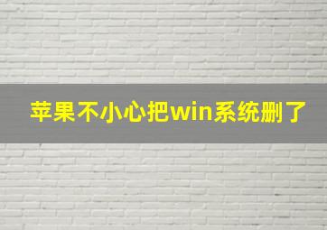 苹果不小心把win系统删了