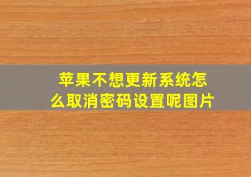 苹果不想更新系统怎么取消密码设置呢图片