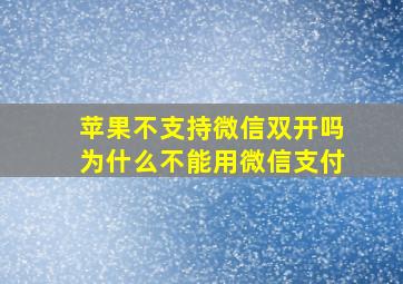 苹果不支持微信双开吗为什么不能用微信支付