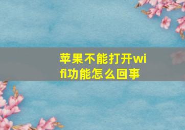 苹果不能打开wifi功能怎么回事