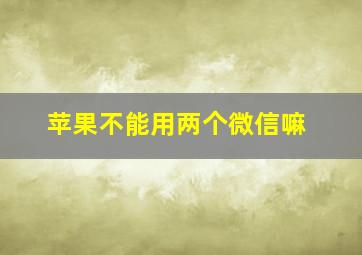 苹果不能用两个微信嘛