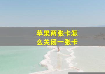 苹果两张卡怎么关闭一张卡