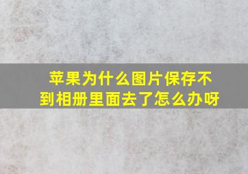 苹果为什么图片保存不到相册里面去了怎么办呀