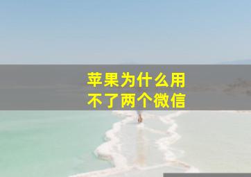 苹果为什么用不了两个微信