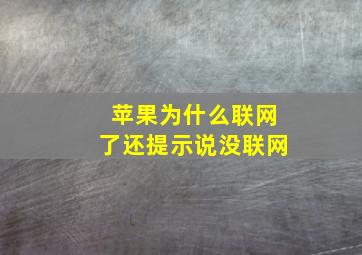 苹果为什么联网了还提示说没联网