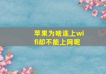 苹果为啥连上wifi却不能上网呢