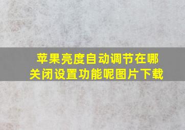 苹果亮度自动调节在哪关闭设置功能呢图片下载