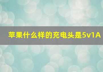 苹果什么样的充电头是5v1A