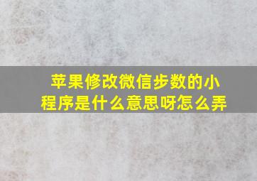 苹果修改微信步数的小程序是什么意思呀怎么弄