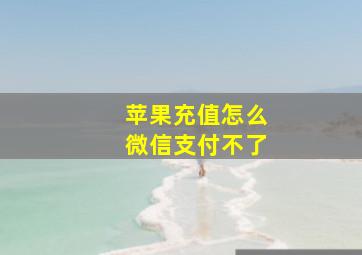 苹果充值怎么微信支付不了