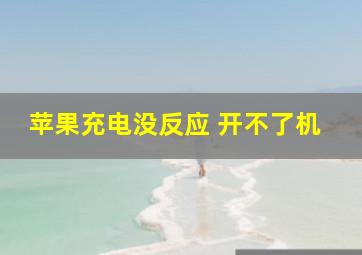 苹果充电没反应 开不了机